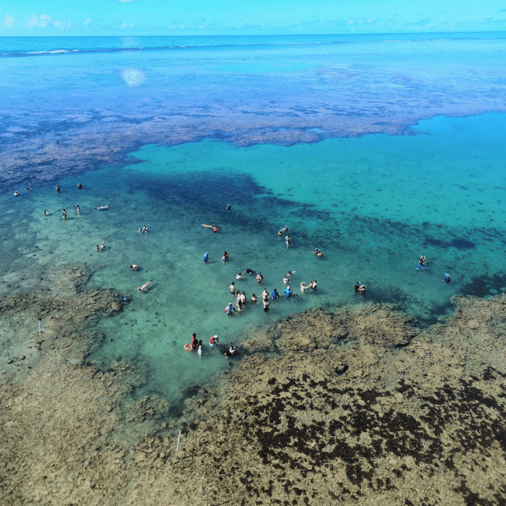 Recife de Fora em Porto Seguro — foto 1